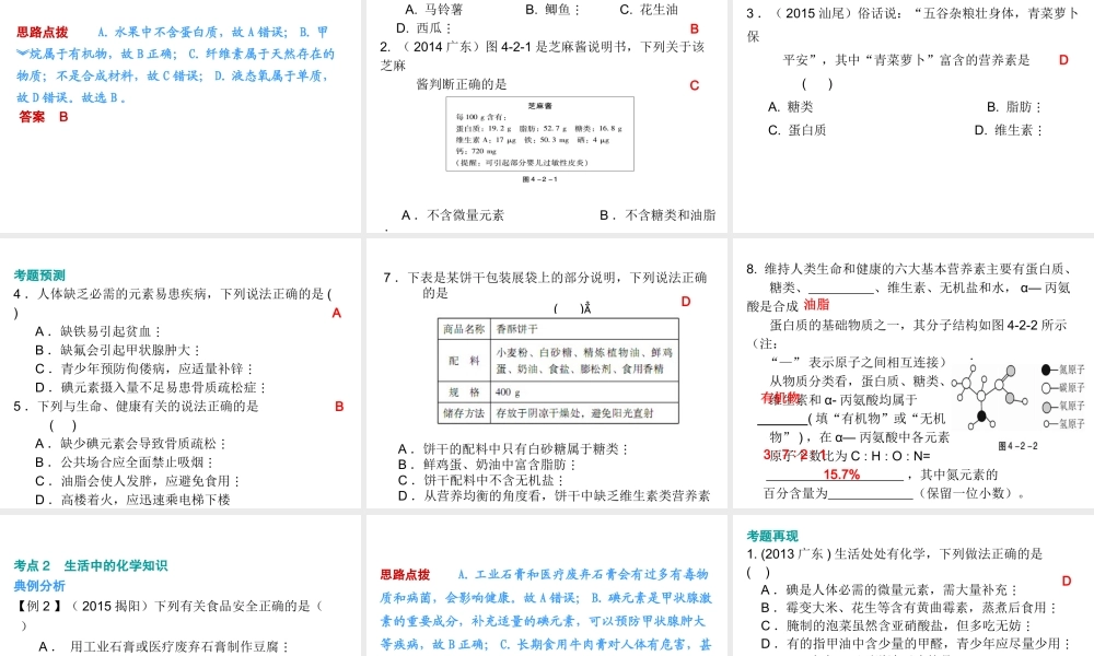 （广东地区）中考化学 第四部分 化学与社会发展 第二节 化学与生活复习课件2 新人教版-新人教版初中九年级全册化学课件