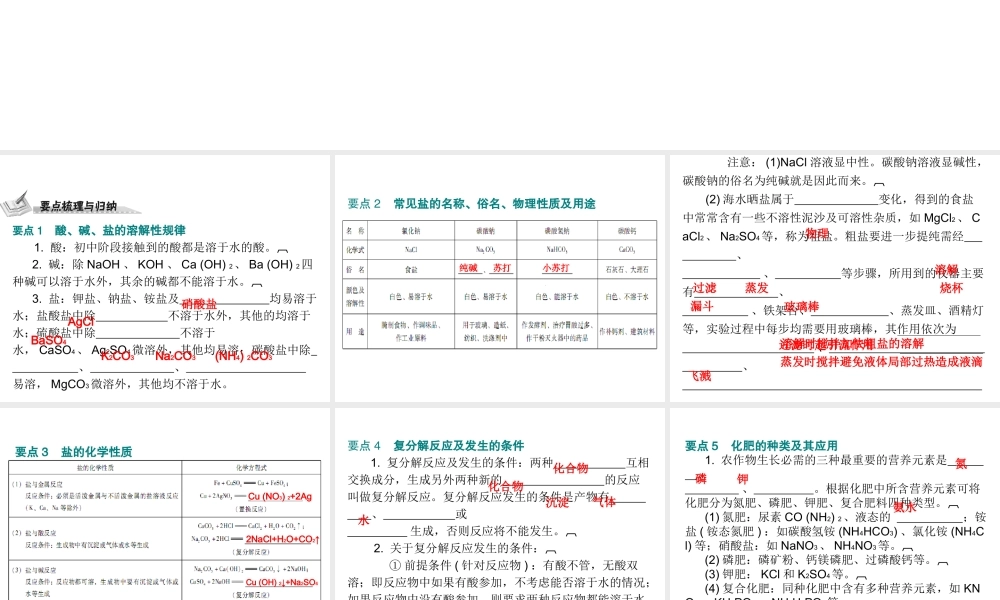 （广东地区）中考化学 第一部分 身边的化学物质 第八节 盐 化肥复习课件 新人教版-新人教版初中九年级全册化学课件