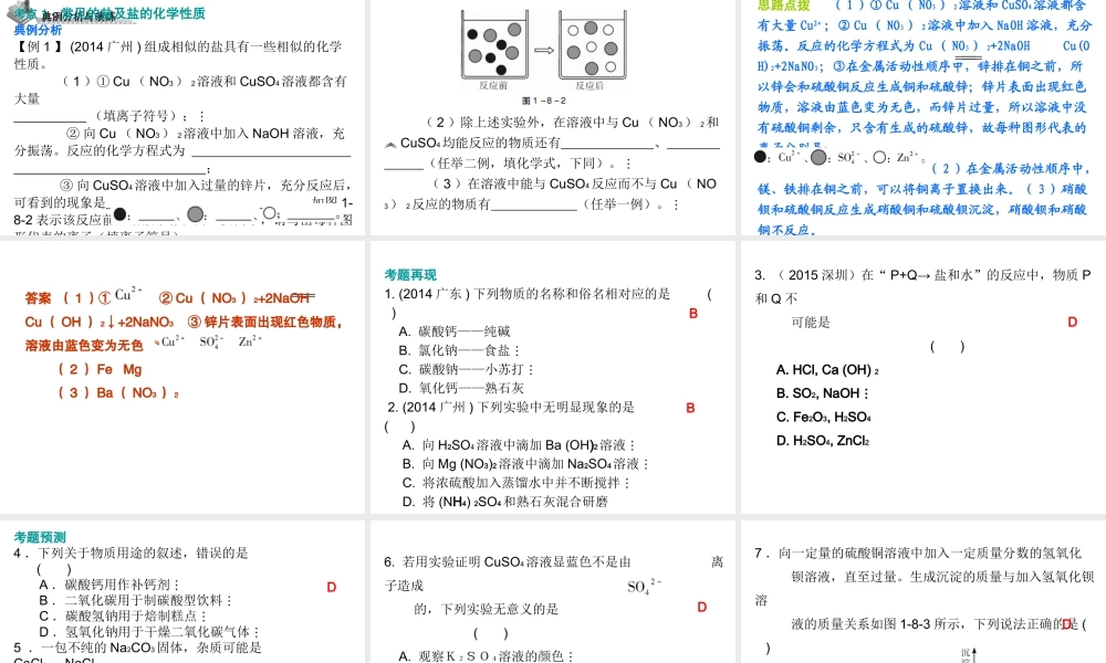 （广东地区）中考化学 第一部分 身边的化学物质 第八节 盐 化肥复习课件 新人教版-新人教版初中九年级全册化学课件