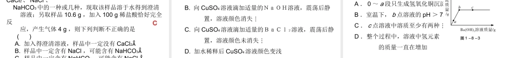 （广东地区）中考化学 第一部分 身边的化学物质 第八节 盐 化肥复习课件 新人教版-新人教版初中九年级全册化学课件