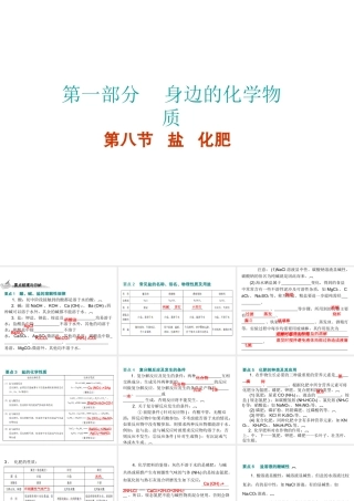 （广东地区）中考化学 第一部分 身边的化学物质 第八节 盐 化肥复习课件 新人教版-新人教版初中九年级全册化学课件