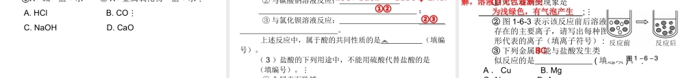 （广东地区）中考化学 第一部分 身边的化学物质 第六节 常见的酸复习课件 新人教版-新人教版初中九年级全册化学课件