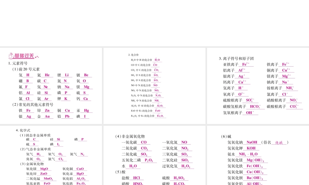 （广西专版）春中考化学 重点1 化学用语课件 鲁教版-鲁教版初中九年级全册化学课件