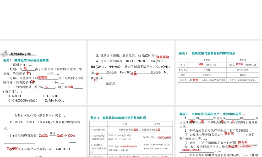 （广东地区）中考化学 第一部分 身边的化学物质 第七节 常见的碱复习课件 新人教版-新人教版初中九年级全册化学课件