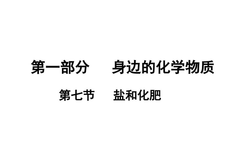 （广东地区）中考化学 第一部分 身边的化学物质 第七节 盐和化肥复习课件 新人教版-新人教版初中九年级全册化学课件