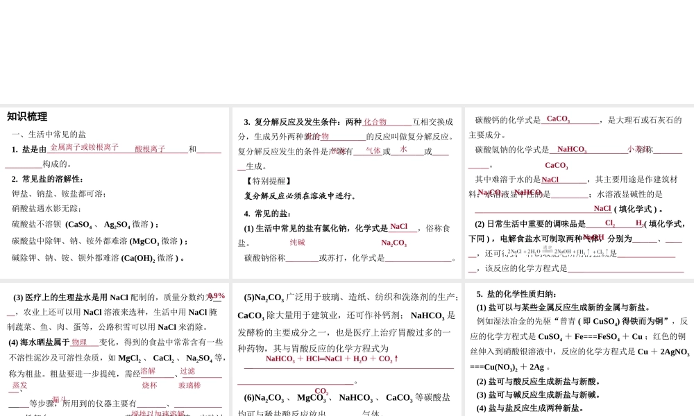 （广东地区）中考化学 第一部分 身边的化学物质 第七节 盐和化肥复习课件 新人教版-新人教版初中九年级全册化学课件