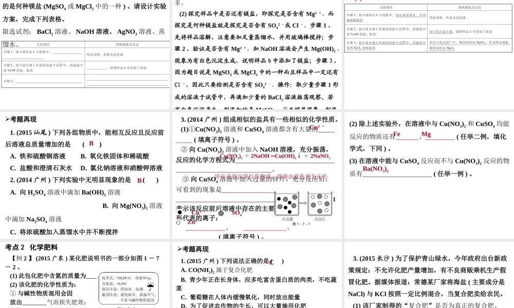 （广东地区）中考化学 第一部分 身边的化学物质 第七节 盐和化肥复习课件 新人教版-新人教版初中九年级全册化学课件