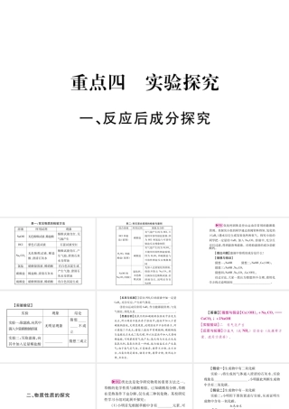 （广西专版）春中考化学 重点4 实验探究课件 鲁教版-鲁教版初中九年级全册化学课件