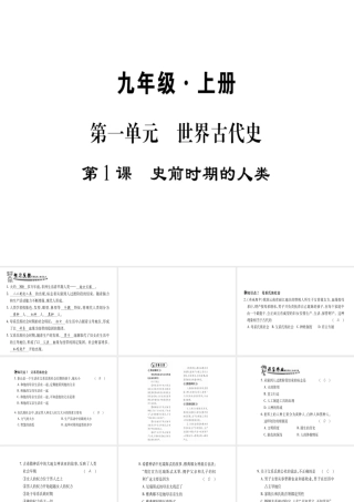 （广西专用）九年级历史上册 第1单元 世界古代史 第1课 史前时期的人类课件 岳麓版-岳麓版初中九年级上册历史课件