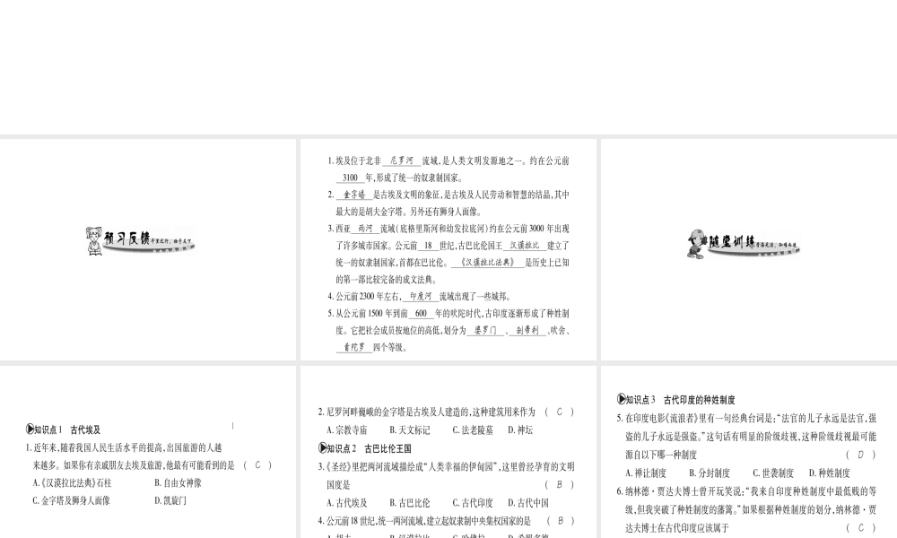 （广西专用）九年级历史上册 第1单元 世界古代史 第2课 亚非文明古国课件 岳麓版-岳麓版初中九年级上册历史课件