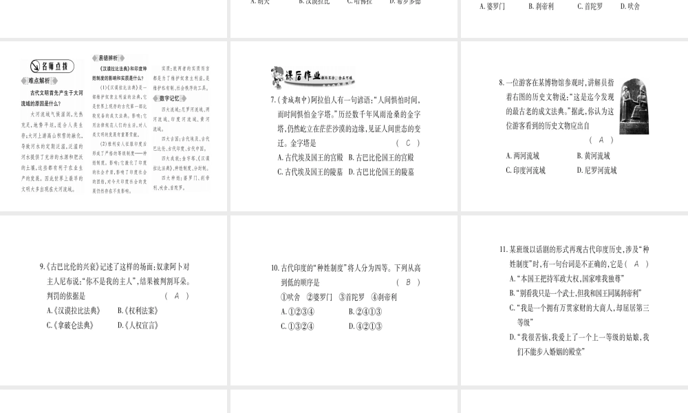 （广西专用）九年级历史上册 第1单元 世界古代史 第2课 亚非文明古国课件 岳麓版-岳麓版初中九年级上册历史课件
