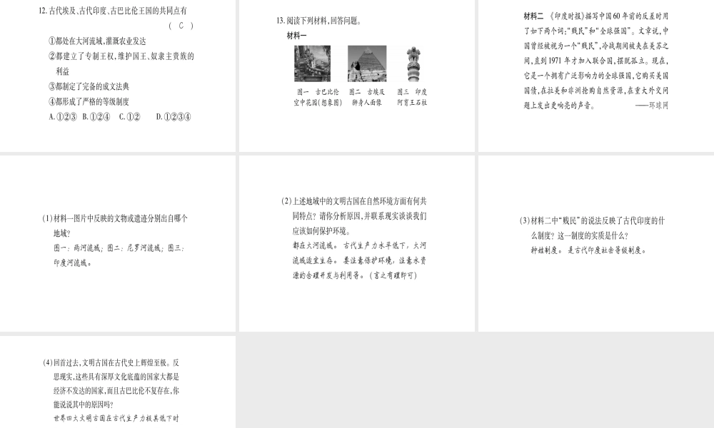 （广西专用）九年级历史上册 第1单元 世界古代史 第2课 亚非文明古国课件 岳麓版-岳麓版初中九年级上册历史课件