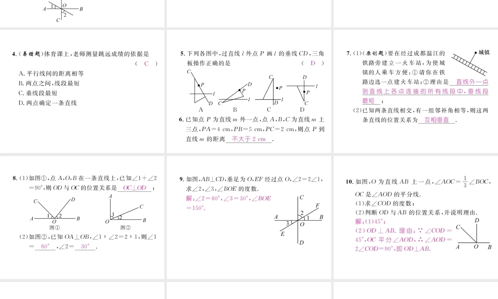 （成都专版）春七年级数学下册 第2章 相交的平行线 1 两条直线的位置关系（2）作业课件 （新版）北师大版-（新版）北师大版初中七年级下册数学课件