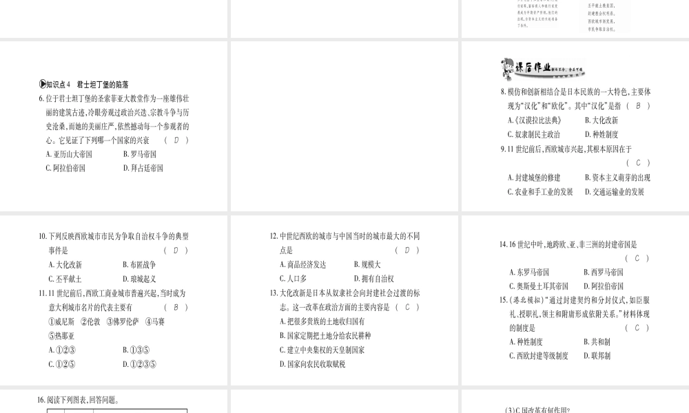 （广西专用）九年级历史上册 第1单元 世界古代史 第4课 中古亚欧文明课件 岳麓版-岳麓版初中九年级上册历史课件