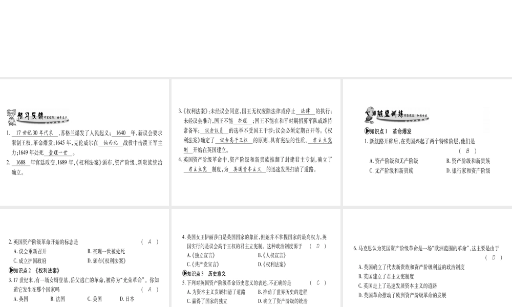 （广西专用）九年级历史上册 第2单元 欧美主要国家的社会巨变 第9课 英国资产阶级革命课件 岳麓版-岳麓版初中九年级上册历史课件