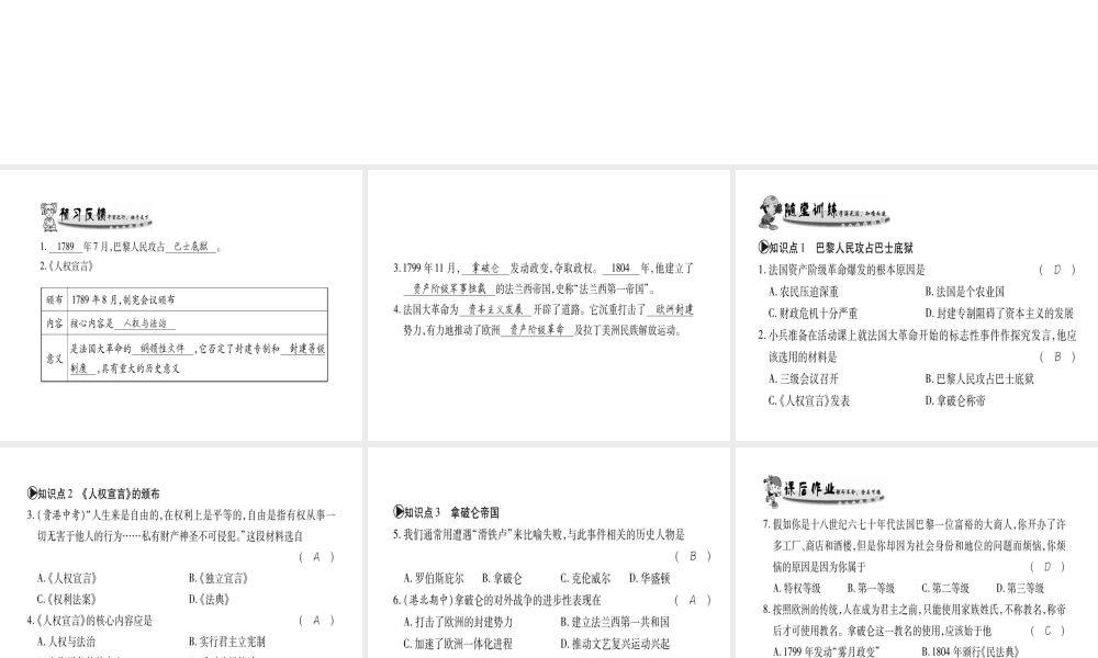 （广西专用）九年级历史上册 第2单元 欧美主要国家的社会巨变 第11课 法国大革命课件 岳麓版-岳麓版初中九年级上册历史课件