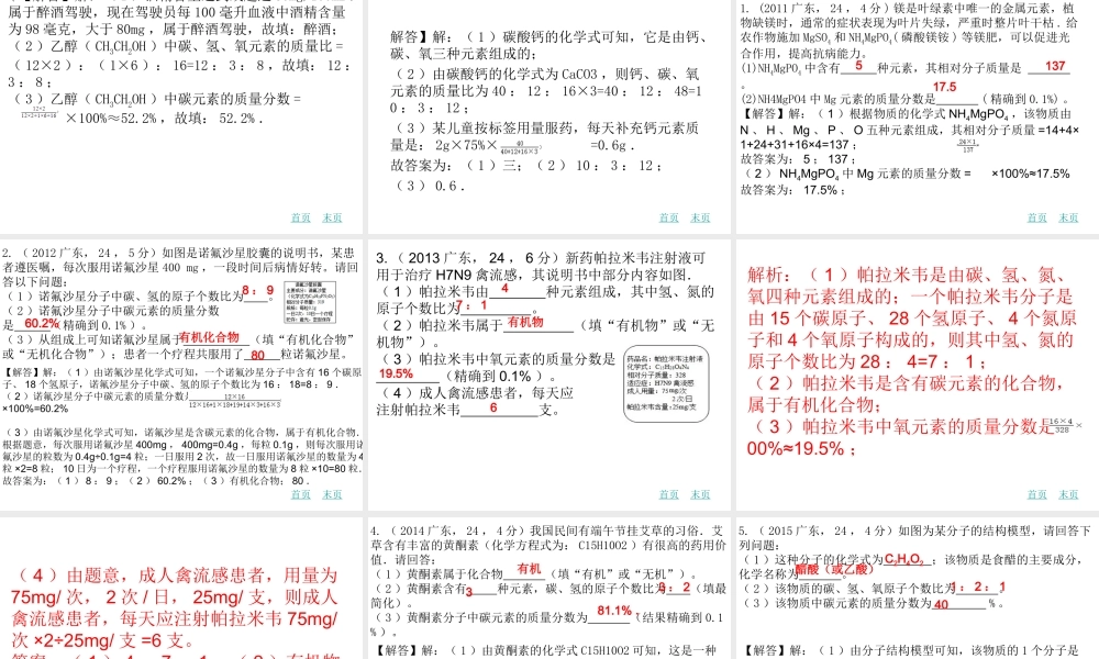 （广东地区）中考化学专题复习五 根据化学式的计算课件 新人教版-新人教版初中九年级全册化学课件