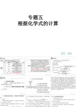 （广东地区）中考化学专题复习五 根据化学式的计算课件 新人教版-新人教版初中九年级全册化学课件