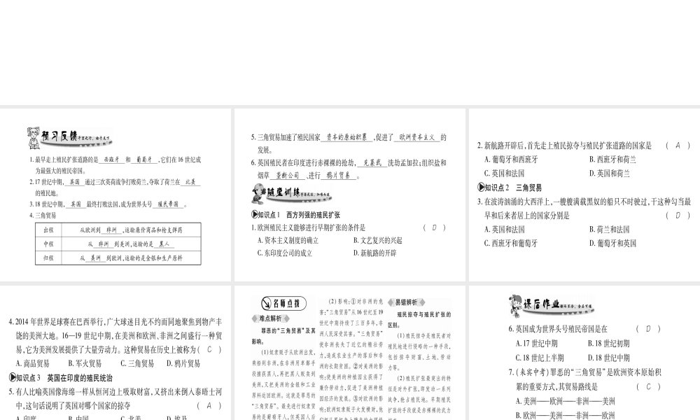 （广西专用）九年级历史上册 第3单元 殖民扩张与殖民地人民的战争 第13课 西方国家的殖民扩张和掠夺课件 岳麓版-岳麓版初中九年级上册历史课件