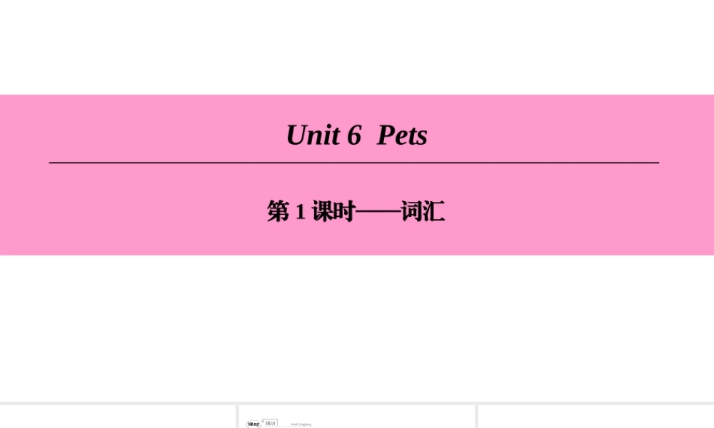 （广州沈阳通用）八年级英语下册 Unit 6 Pets（第1课时）词汇课件 牛津深圳版-牛津深圳版初中八年级下册英语课件
