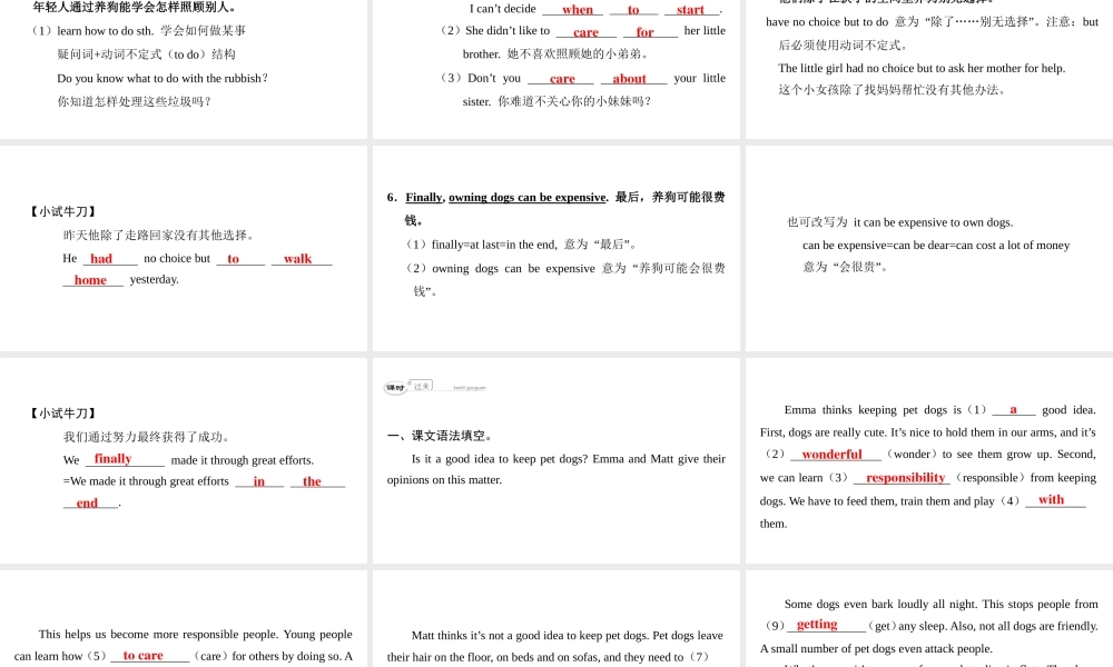 （广州沈阳通用）八年级英语下册 Unit 6 Pets（第2课时）阅读课件 牛津深圳版-牛津深圳版初中八年级下册英语课件