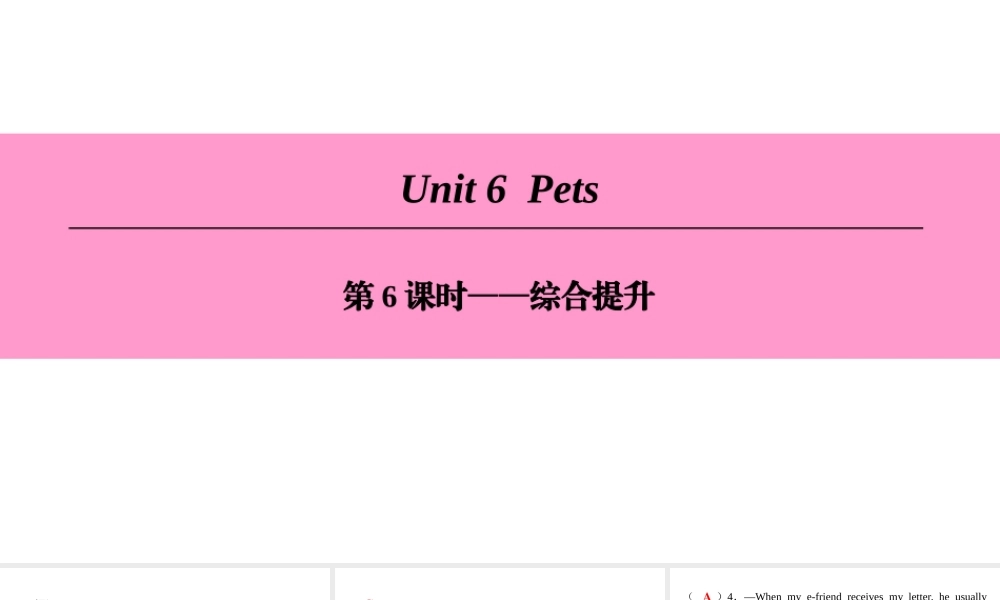 （广州沈阳通用）八年级英语下册 Unit 6 Pets（第6课时）综合提升课件 牛津深圳版-牛津深圳版初中八年级下册英语课件
