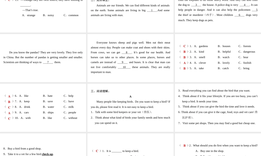 （广州沈阳通用）八年级英语下册 Unit 6 Pets（第6课时）综合提升课件 牛津深圳版-牛津深圳版初中八年级下册英语课件