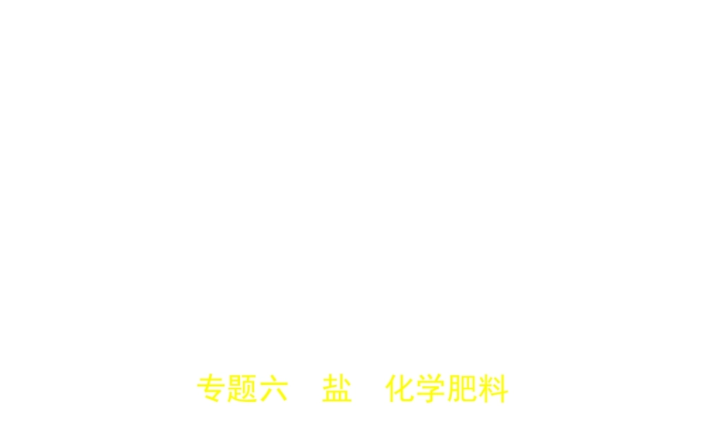 （广西专用）中考化学复习 专题六 盐 化学肥料（试卷部分）课件-人教版初中九年级全册化学课件