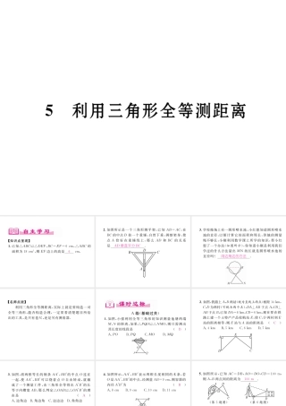 （成都专版）春七年级数学下册 第4章 三角形 5 利用三角形全等测距离作业课件 （新版）北师大版-（新版）北师大版初中七年级下册数学课件