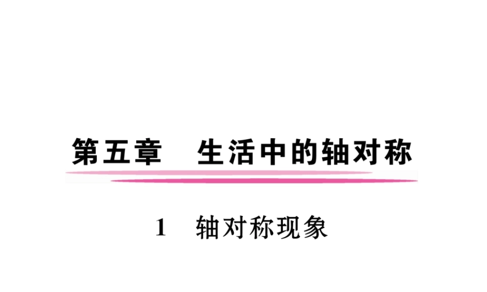 （成都专版）春七年级数学下册 第5章 生活中的轴对称 1 轴对称现象作业课件 （新版）北师大版-（新版）北师大版初中七年级下册数学课件