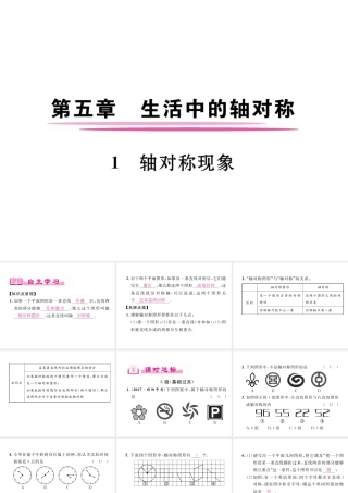 （成都专版）春七年级数学下册 第5章 生活中的轴对称 1 轴对称现象作业课件 （新版）北师大版-（新版）北师大版初中七年级下册数学课件