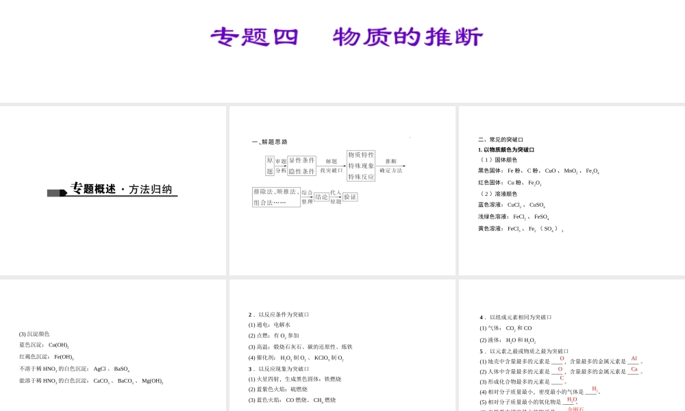 （广西地区）中考化学总复习 第二篇 专题聚焦 专题四 物质的推断课件-人教版初中九年级全册化学课件