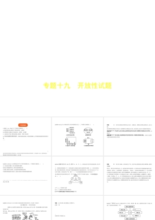 （广西专用）中考化学复习 专题十九 开放性试题（试卷部分）课件-人教版初中九年级全册化学课件