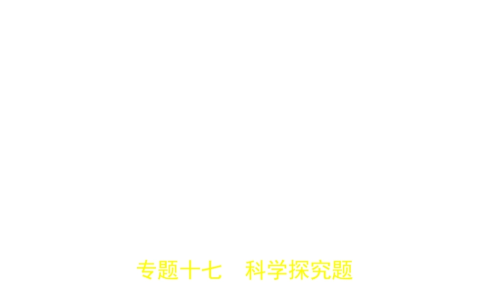 （广西专用）中考化学复习 专题十七 科学探究题（试卷部分）课件-人教版初中九年级全册化学课件