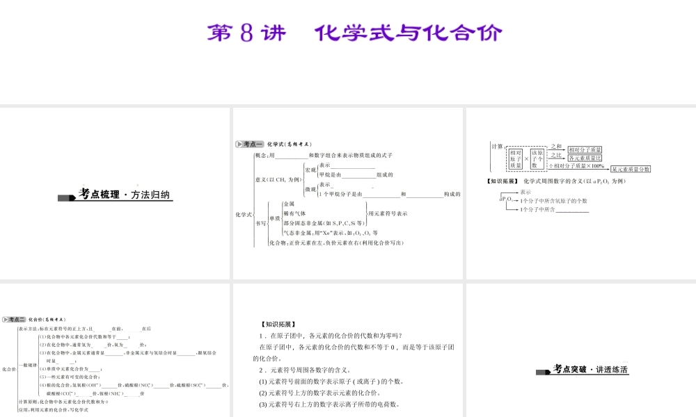 （广西地区）中考化学总复习 第一篇 考点聚焦 第8讲 化学式与化合价课件-人教版初中九年级全册化学课件