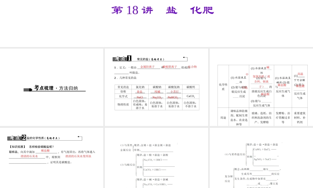 （广西地区）中考化学总复习 第一篇 考点聚焦 第18讲 盐 化肥课件-人教版初中九年级全册化学课件