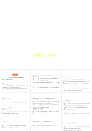 （广西地区）中考英语复习 专题三 冠词（试卷部分）课件-人教版初中九年级全册英语课件