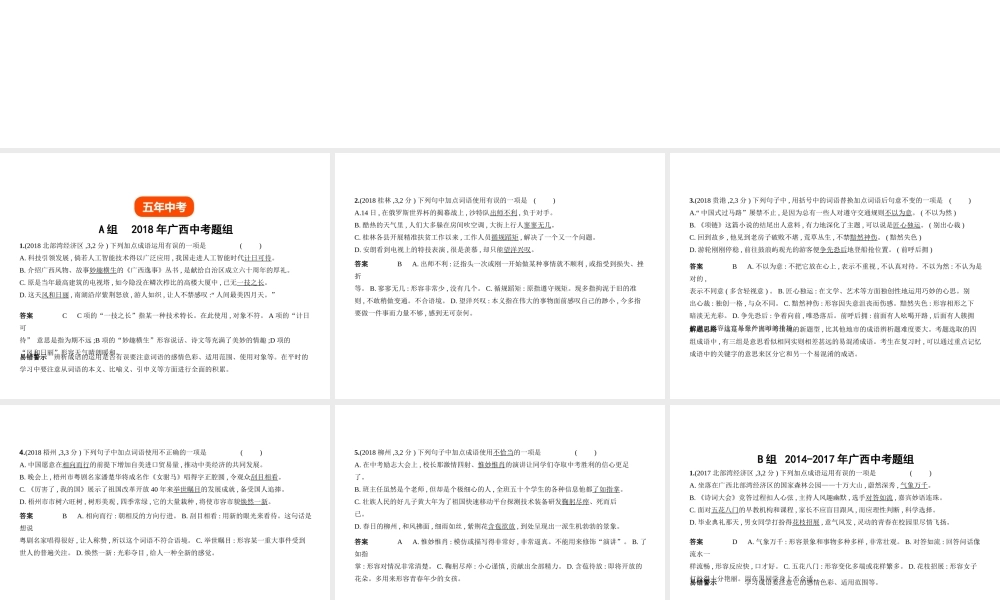 （广西地区）中考语文 第一部分 基础知识积累与运用 专题二 词语的理解与运用（试题部分）课件-人教版初中九年级全册语文课件