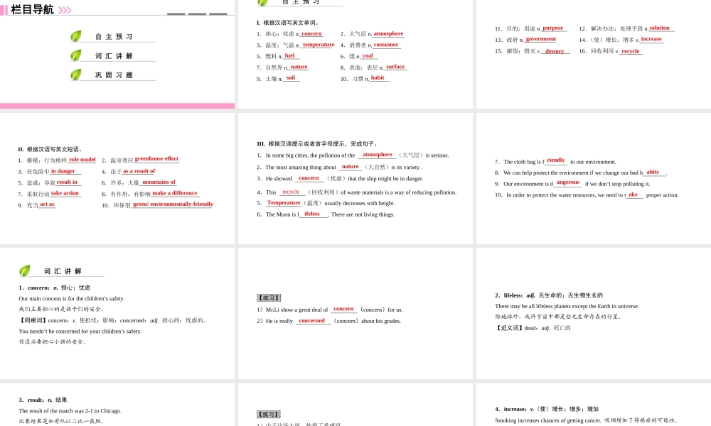 （广州沈阳通用）九年级英语下册 Module 2 Environmental problems Unit 3 The environment（第1课时）核心词汇讲解课件 牛津深圳版-牛津深圳版初中九年级下册英语课件