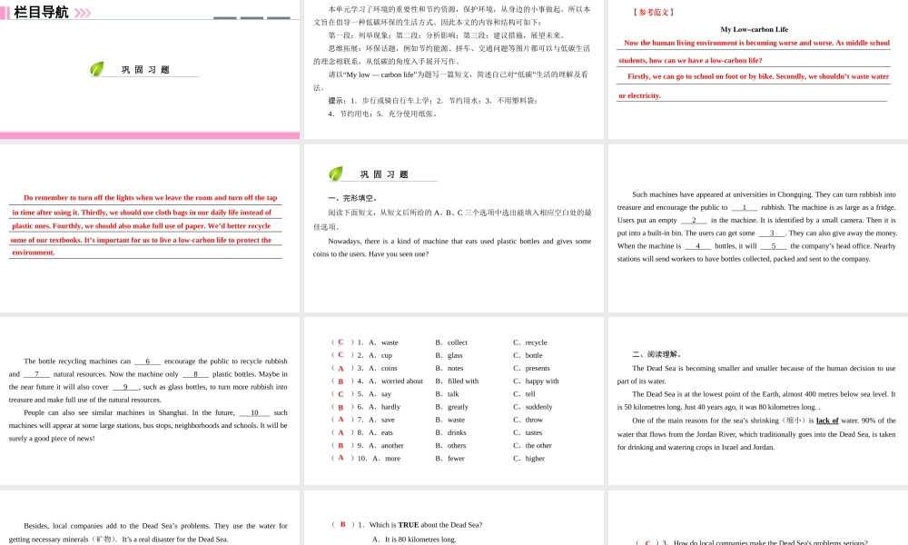 （广州沈阳通用）九年级英语下册 Module 2 Environmental problems Unit 3 The environment（第4课时）作文讲解与指导课件 牛津深圳版-牛津深圳版初中九年级下册英语课件