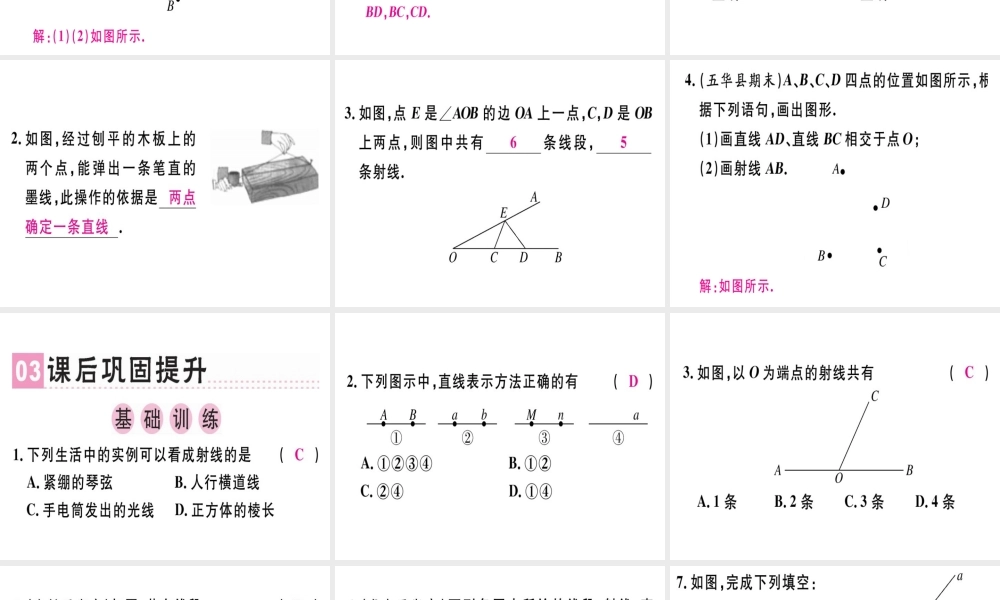 （广东专级数学上册 第四章 几何图形初步 第4课时 直线、射线、线段（1）课堂精讲课件 （新版）新人教版-（新版）新人教级上册数学课件