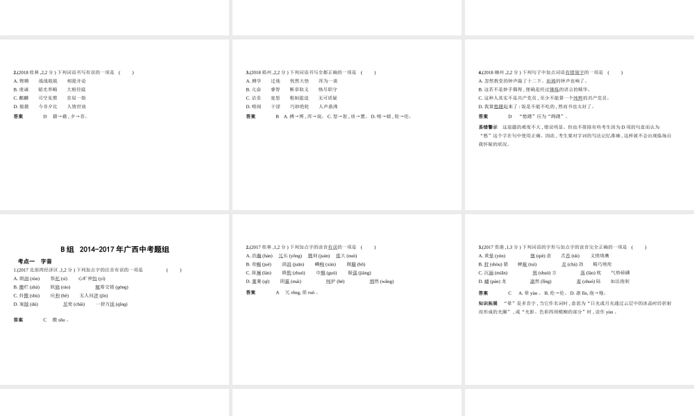 （广西地区）中考语文 第一部分 基础知识积累与运用 专题一 字音字形（试题部分）课件-人教版初中九年级全册语文课件