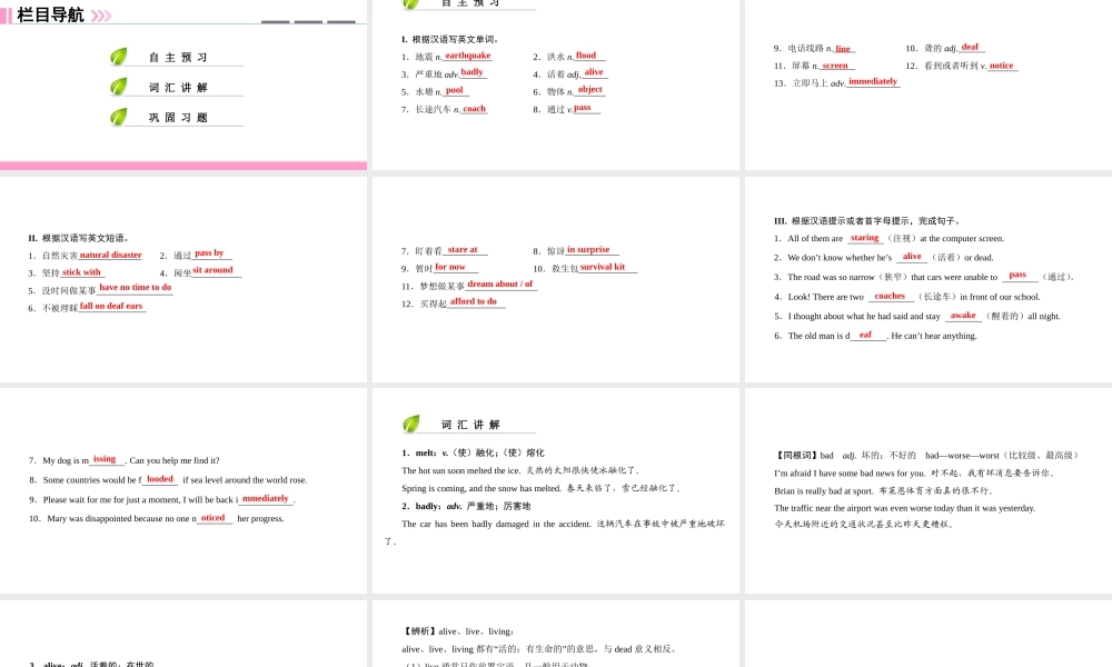 （广州沈阳通用）九年级英语下册 Module 2 Environmental problems Unit 4 Natural disasters（第1课时）核心词汇讲解课件 牛津深圳版-牛津深圳版初中九年级下册英语课件