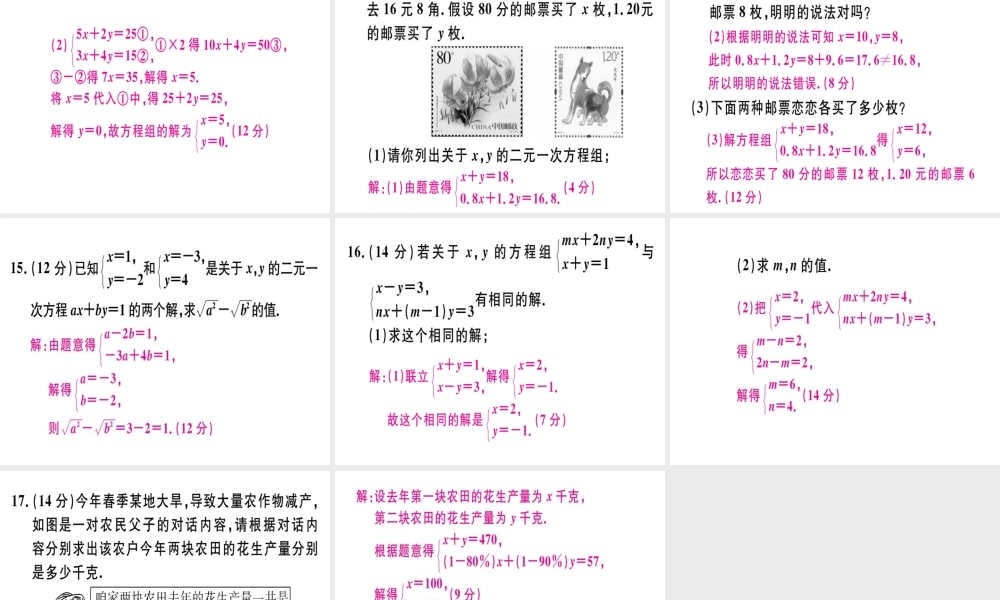 （广东专级数学上册 阶段综合训练九 二元一次方程组及其应用习题讲评课件 （新版）北师大版-（新版）北师大级上册数学课件