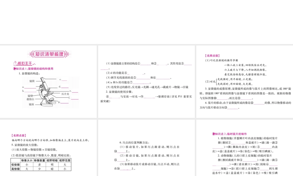 （广西玉林）春中考生物 第2单元 生物体的结构层次复习课件-人教级全册生物课件