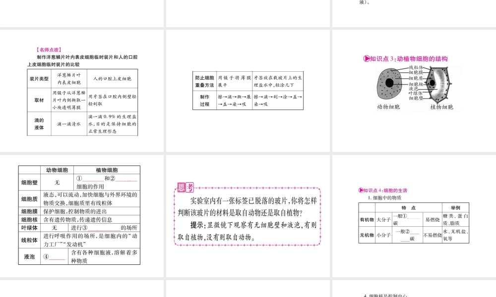 （广西玉林）春中考生物 第2单元 生物体的结构层次复习课件-人教级全册生物课件