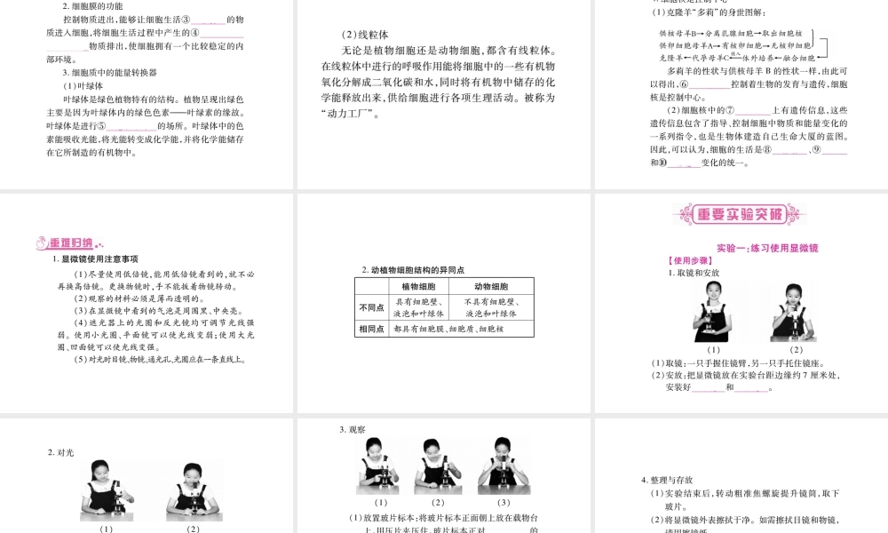 （广西玉林）春中考生物 第2单元 生物体的结构层次复习课件-人教级全册生物课件