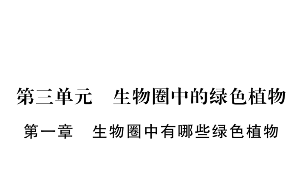（广西玉林）春中考生物 第3单元 生物圈中的绿色植物复习课件-人教版初中九年级全册生物课件