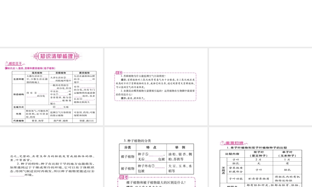 （广西玉林）春中考生物 第3单元 生物圈中的绿色植物复习课件-人教版初中九年级全册生物课件
