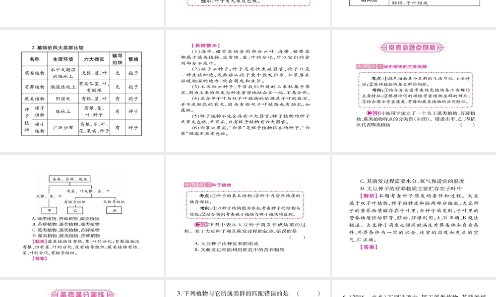 （广西玉林）春中考生物 第3单元 生物圈中的绿色植物复习课件-人教版初中九年级全册生物课件